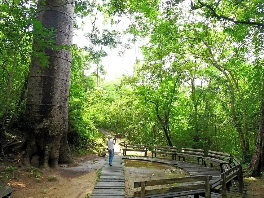 Bosque Petrificado de Puyango, Puyango